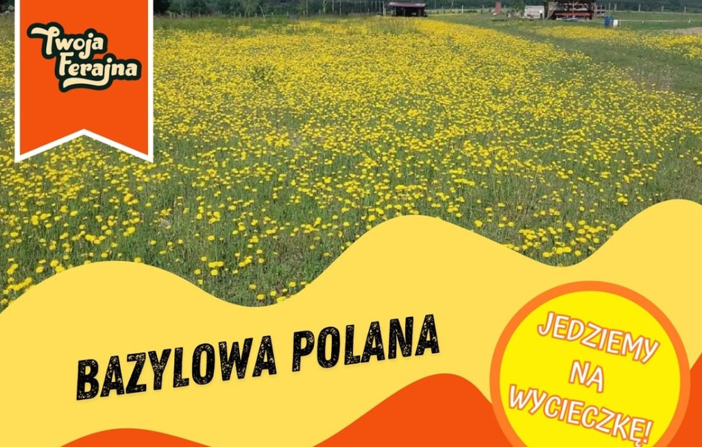 Bazylowa Polana