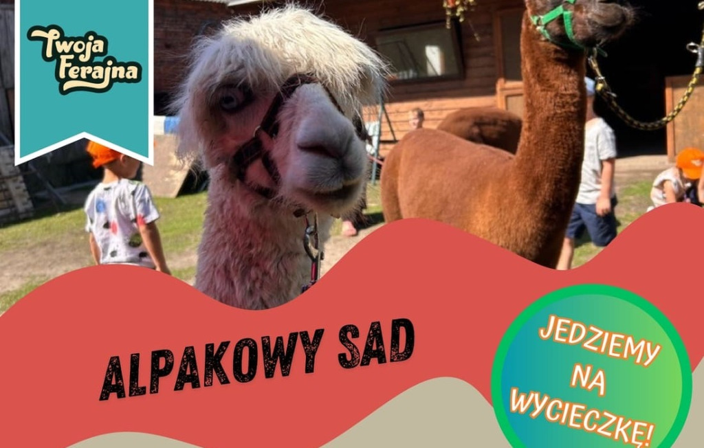 Alpakowy Sad